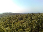 Panoráma