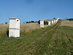 közelről