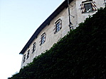 Csíkos ablaktáblák