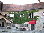 Borostyán