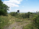 Kanyarkép