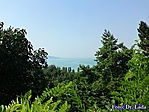 Szikláról a Balaton