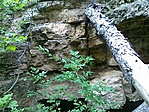 3.pont