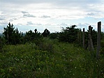 2.pon