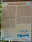 Balaton története
