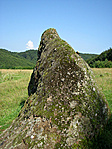 Kőló