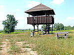 A torony