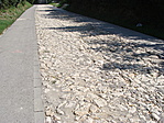 1-es pont felé