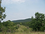 kilátás