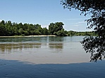 Mura és Dráva összefolyása