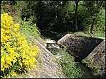 zúgó