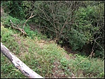 szakadék