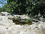 Kis tavacska nagy kőben.