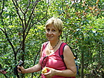 Marcsi barátnőm