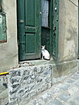 Macsek