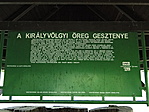 Info tábla