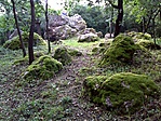 bába-környék
