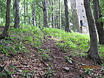 Kesserösvény