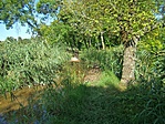 Megközelíthetetlen 1-es pont