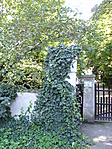 Borostyán