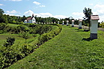 Emlékösvény