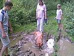 Az utolsó akadály