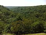 panoráma