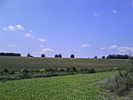 Kukoricadomb