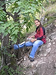 log