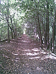Irány haza