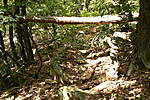 Limbó léc