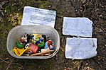 A cache tartalma