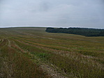 Acsa felől