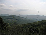 tájkép