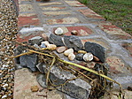 Alakul