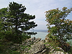 Részlet
