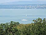 Panoráma