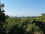 Kilátás