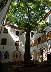 fura függőleges panoráma kép