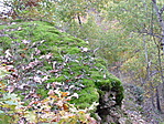 Kőorom