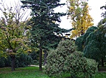 Park