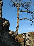 A természet remekei