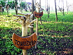 besenyő vezér? varázsló?