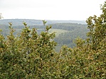 Kilátás (BK)
