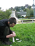 kutyavár