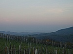 Balaton