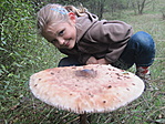 Luca és A GOMBA