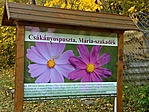 info tábla