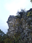 Gejzirit