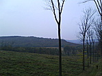 Tolnai-hegyhát